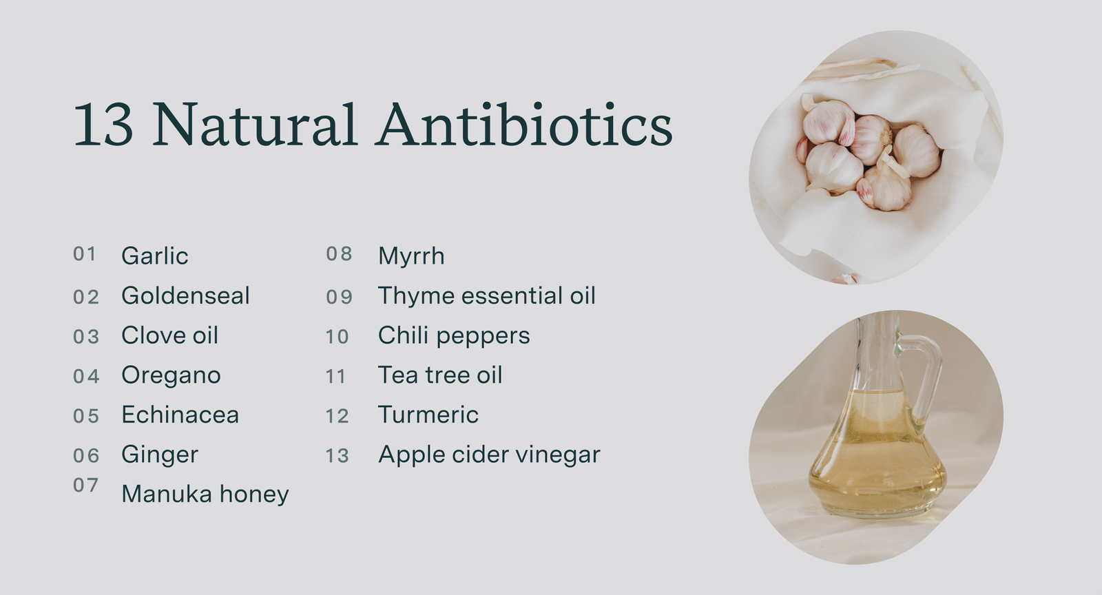 13 natural antibiotics